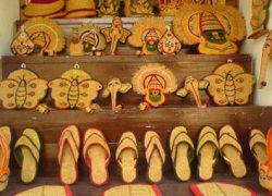 coir33
