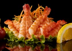 shrimp-food